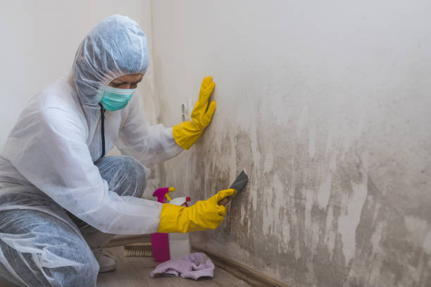 Best Mold Testing  in Aptos, CA