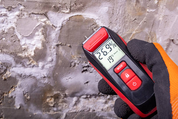 Best Home Mold Removal  in Aptos, CA